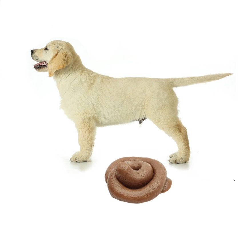 Mainan Squishy Kotoran Lucu -  - Fake Poop Gag Gift ulasan dan harga